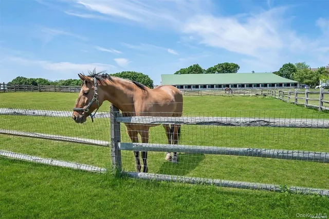 $8,000 | 170 Vineyard Way, Riverhead, NY 11901