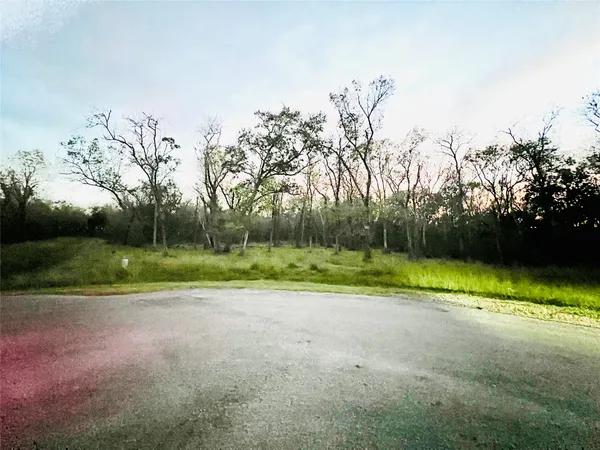 a view of a dry yard with lots of bushes