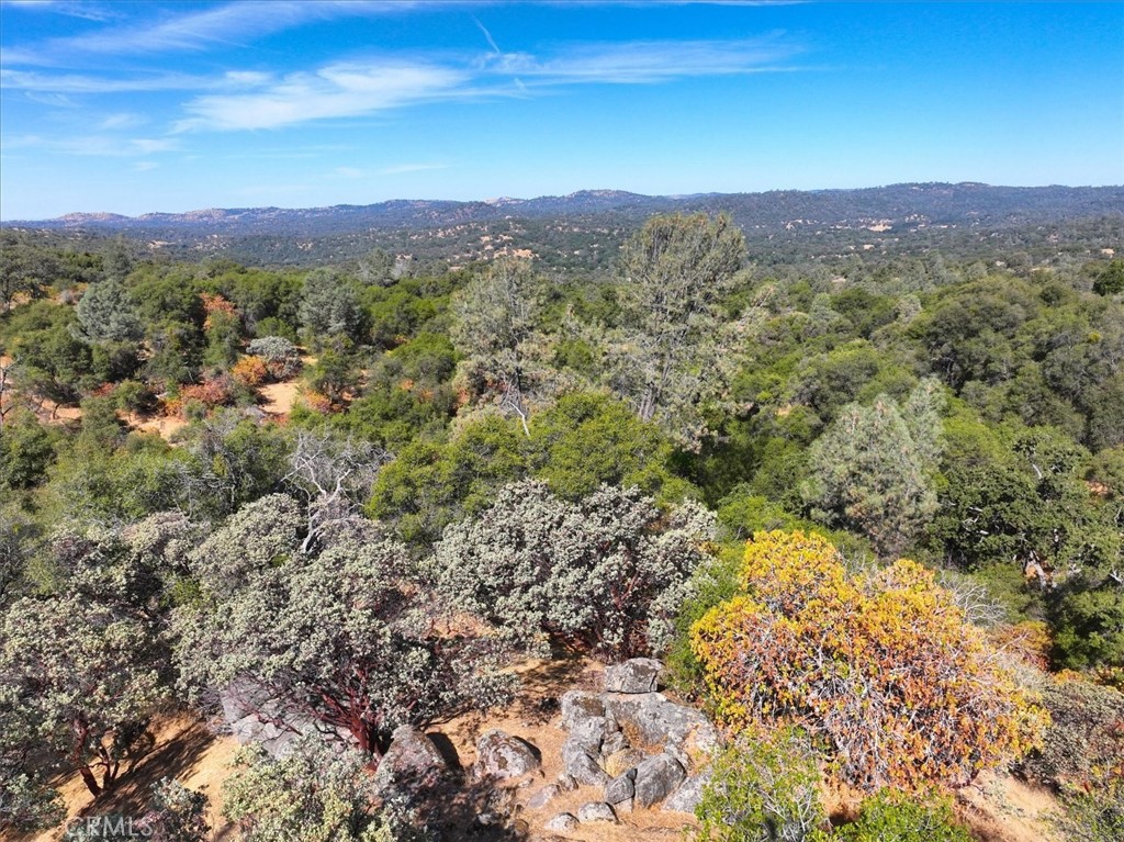 3279 Quail Run Road Mariposa, CA 95338 - Photo 5 of 37
