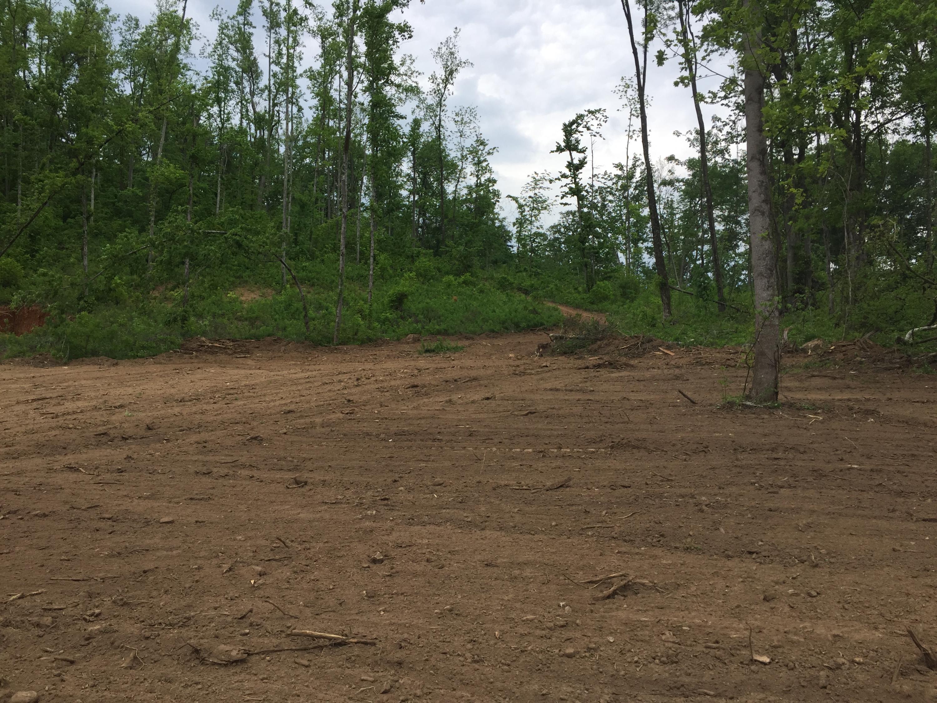 Collier Loop Road Loop Dandridge, TN 37725 - Photo 2 of 10 Collier 9