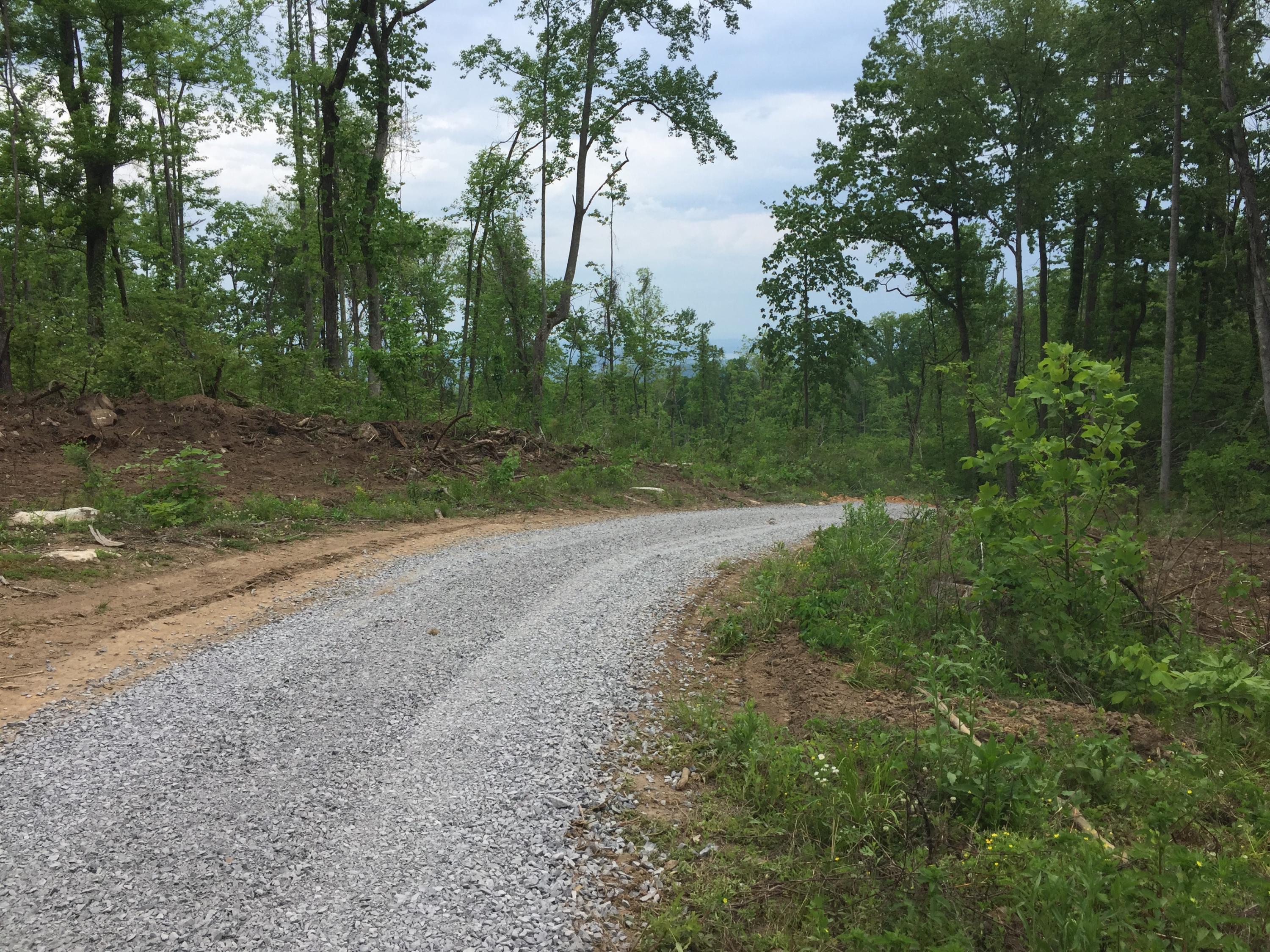 Collier Loop Road Loop Dandridge, TN 37725 - Photo 3 of 10 Collier 10