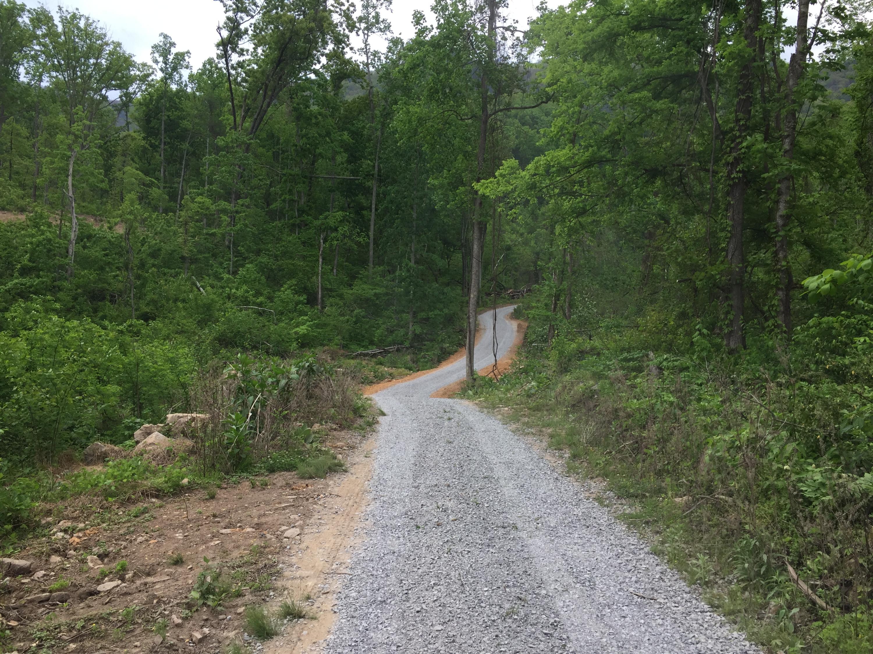 Collier Loop Road Loop Dandridge, TN 37725 - Photo 4 of 10 Collier 6
