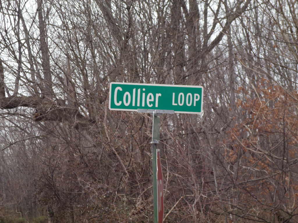 Collier Loop Road Loop Dandridge, TN 37725 - Photo 5 of 10 SAM_4186