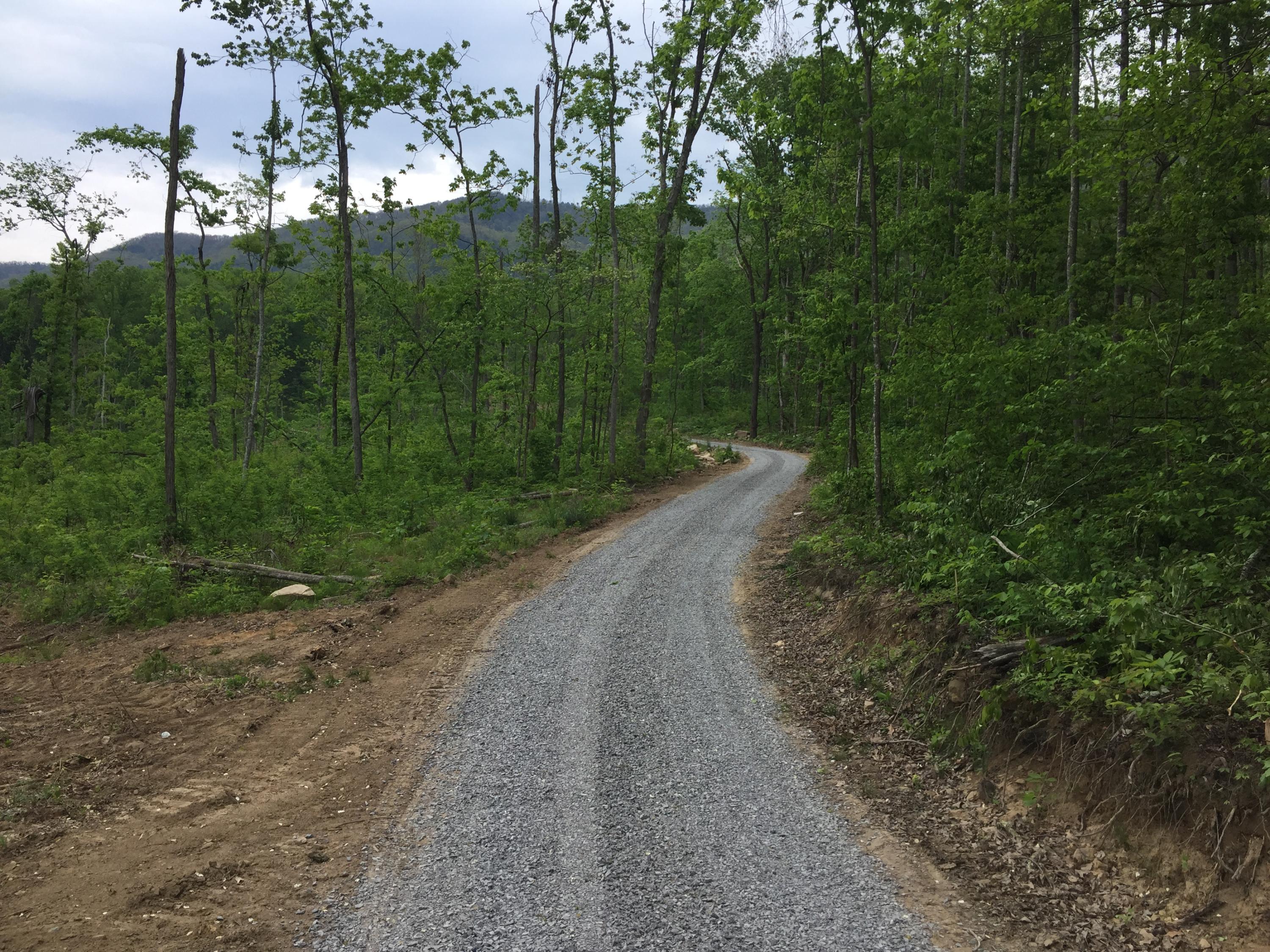 Collier Loop Road Loop Dandridge, TN 37725 - Photo 6 of 10 Collier 5