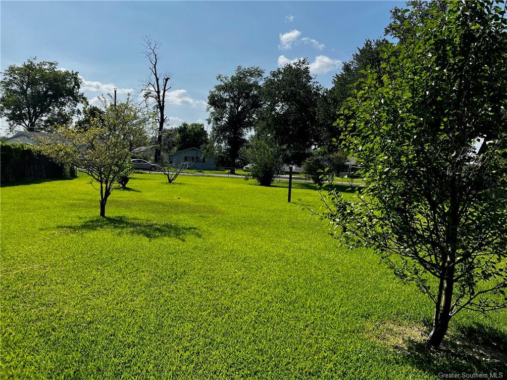 3505 Crescent Street Lake Charles, LA 70607 - Photo 3 of 5