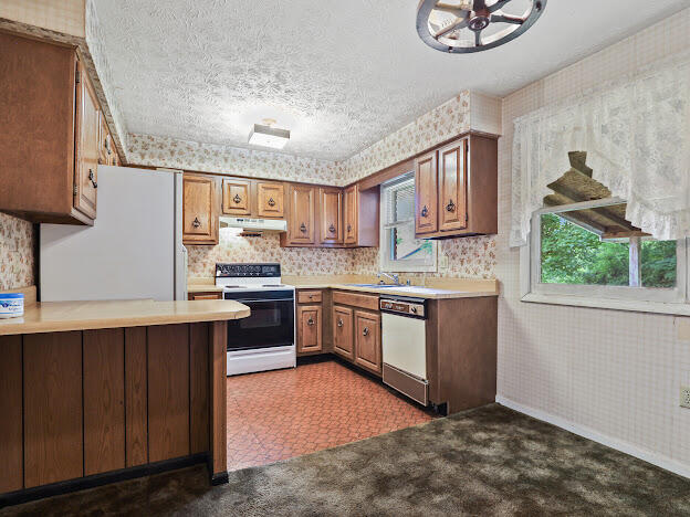 343 Moores Road Tyner, KY 40486 - Photo 5 of 16 270BE26F-F201-49B3-A7CC-CDFF28947C56