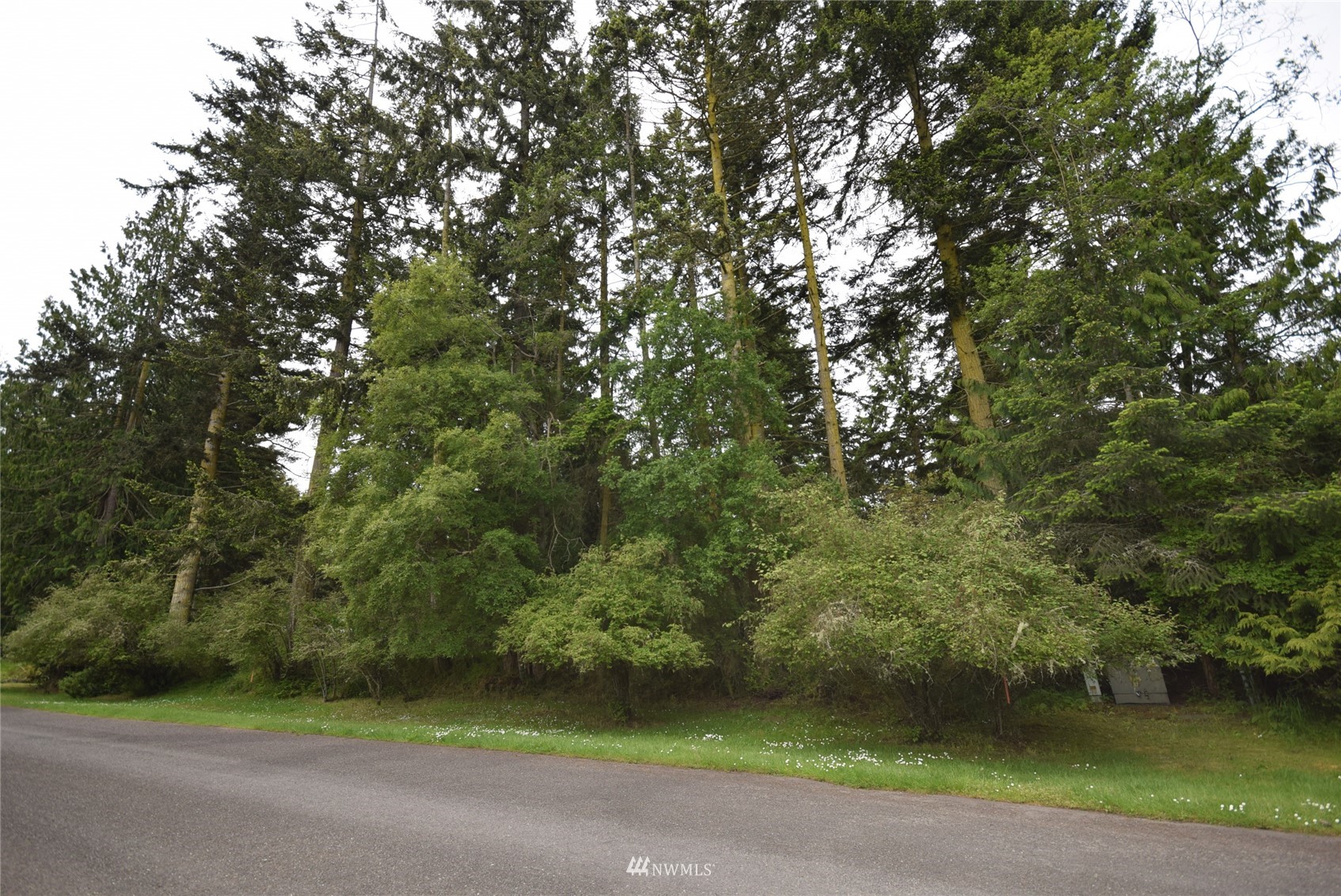 999 Cline Road Sequim, WA 98382 - Photo 22 of 22 a view of a yard with a tree