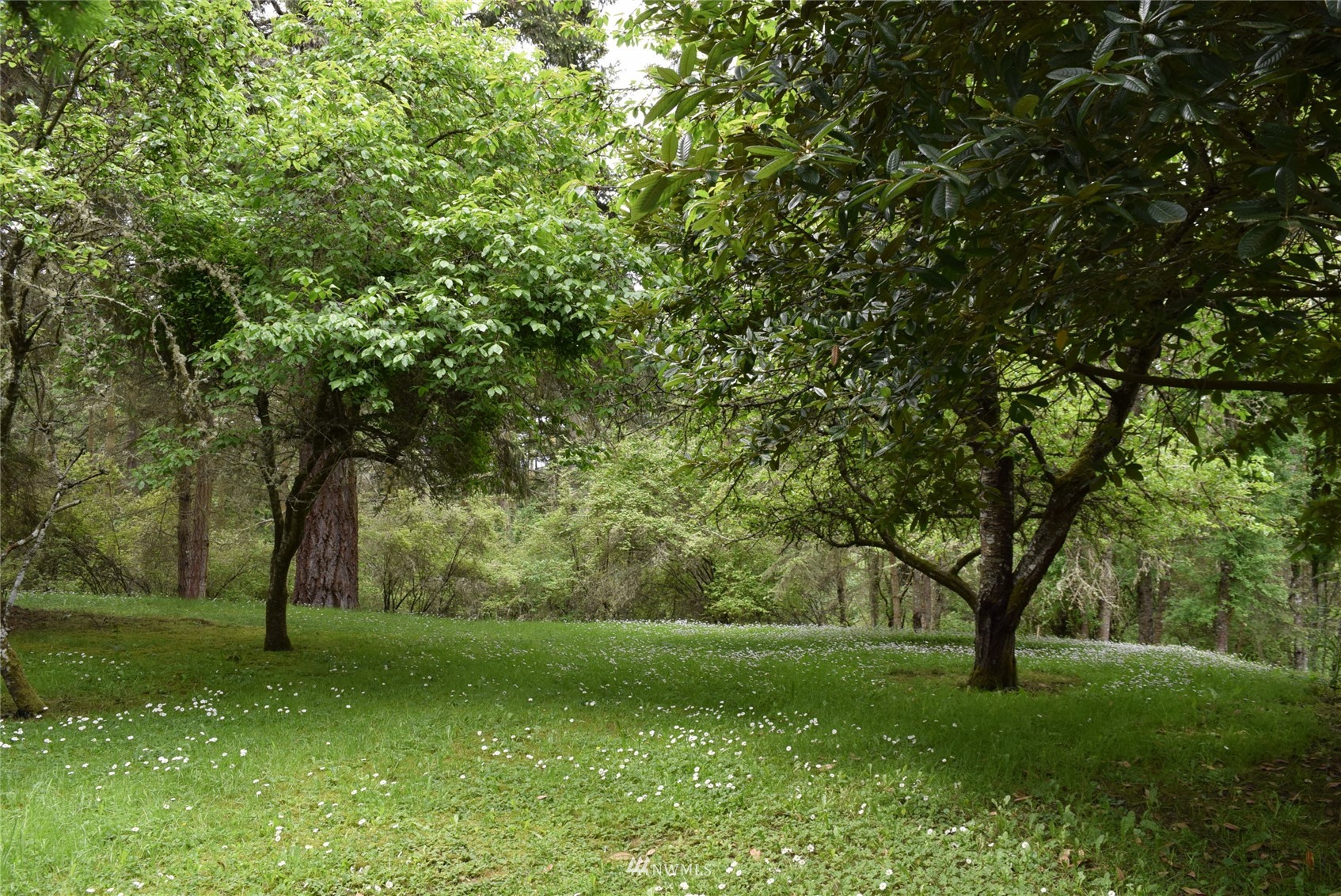 999 Cline Road Sequim, WA 98382 - Photo 3 of 22 a view of a park with large trees