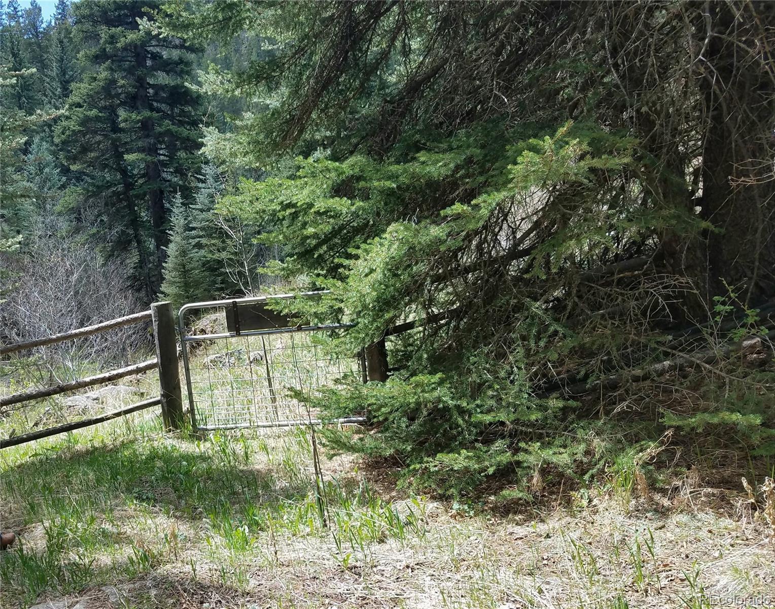 13664 Baird Road Conifer, CO 80433 - Photo 14 of 34 Gallery Image 14