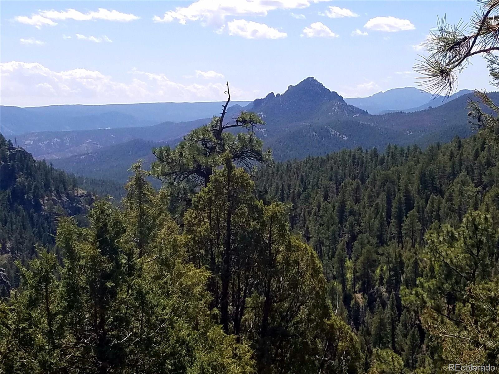13664 Baird Road Conifer, CO 80433 - Photo 24 of 34 Gallery Image 24