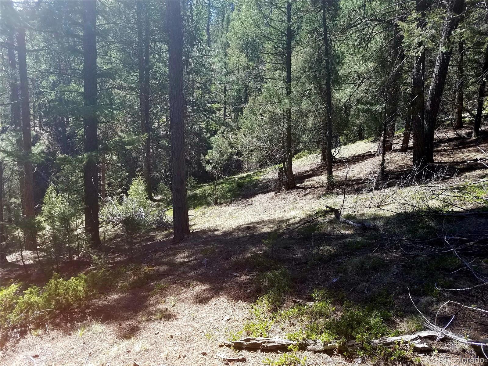 13664 Baird Road Conifer, CO 80433 - Photo 26 of 34 Gallery Image 26