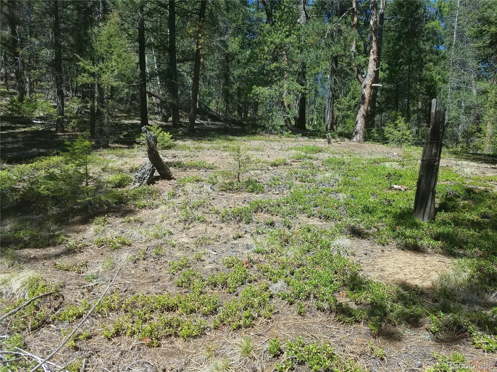 13664 Baird Road Conifer, CO 80433 - Photo 8 of 34 Gallery Image 8