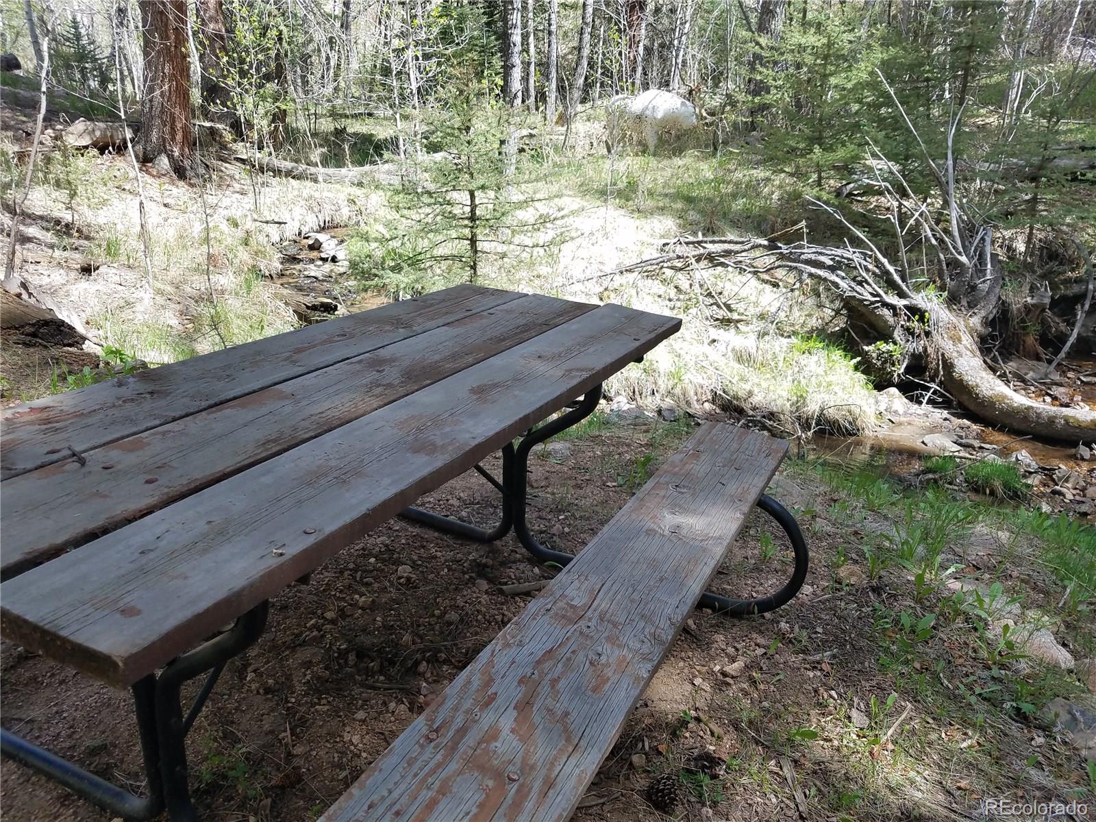 13664 Baird Road Conifer, CO 80433 - Photo 9 of 34 Gallery Image 9