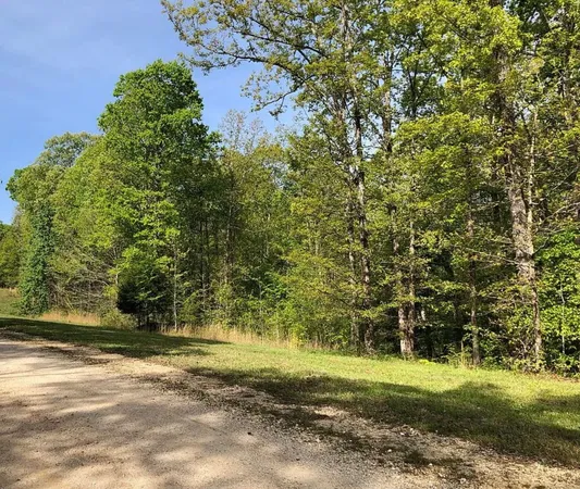a view of a yard with plants and trees