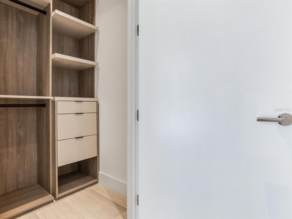 3020 West Santiago Street, Unit 4 Tampa, FL 33629 - Photo 67 of 99 a view of an empty walk in closet