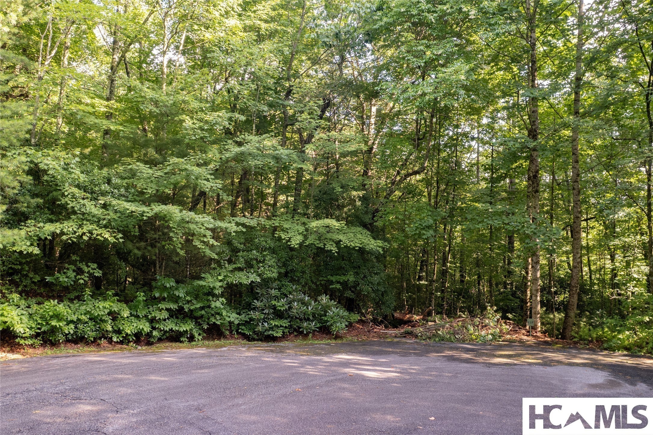 43-fr Running Fox Road Sapphire, NC 28774 - Photo 8 of 48 Gallery Image 8