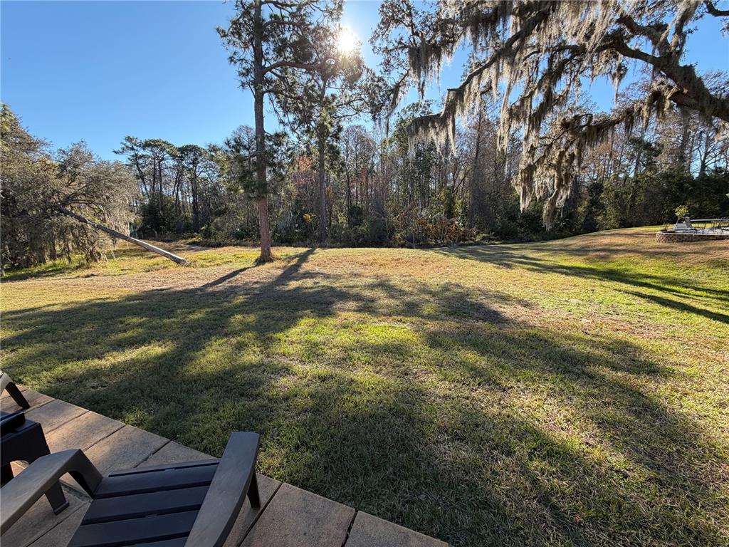 10512 Millriver Drive New Port Richey, FL 34654 - Photo 15 of 18