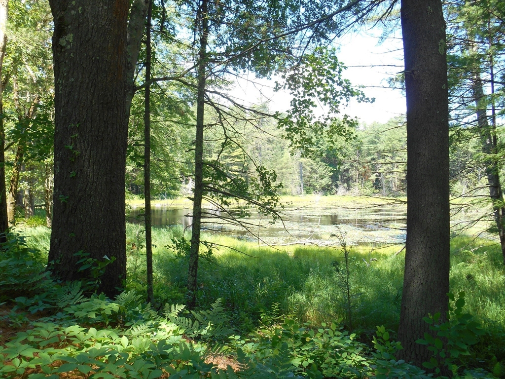 951 Dana Road Barre, MA 01005 - Photo 36 of 41 Gallery Image 36