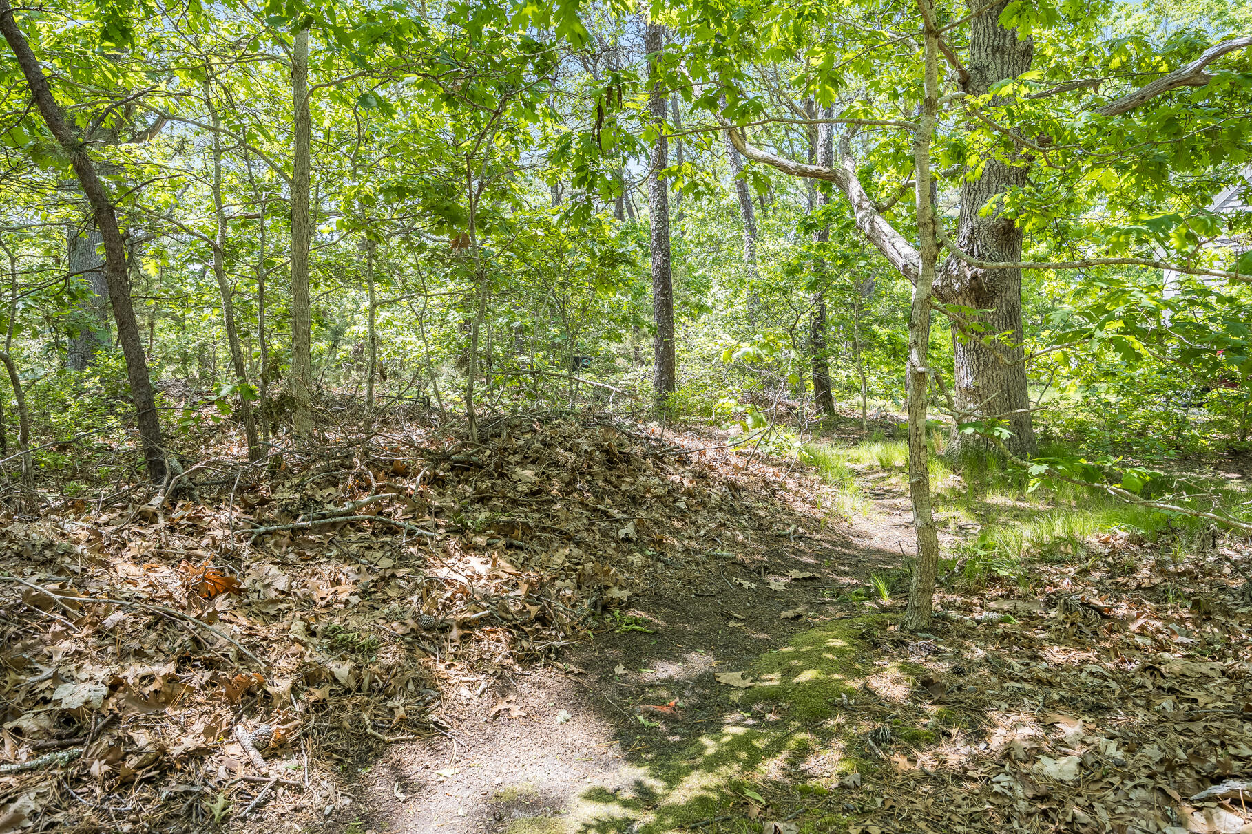 20 Hoyt Road Eastham, MA 02642 - Photo 61 of 73 Path to Thumpertown