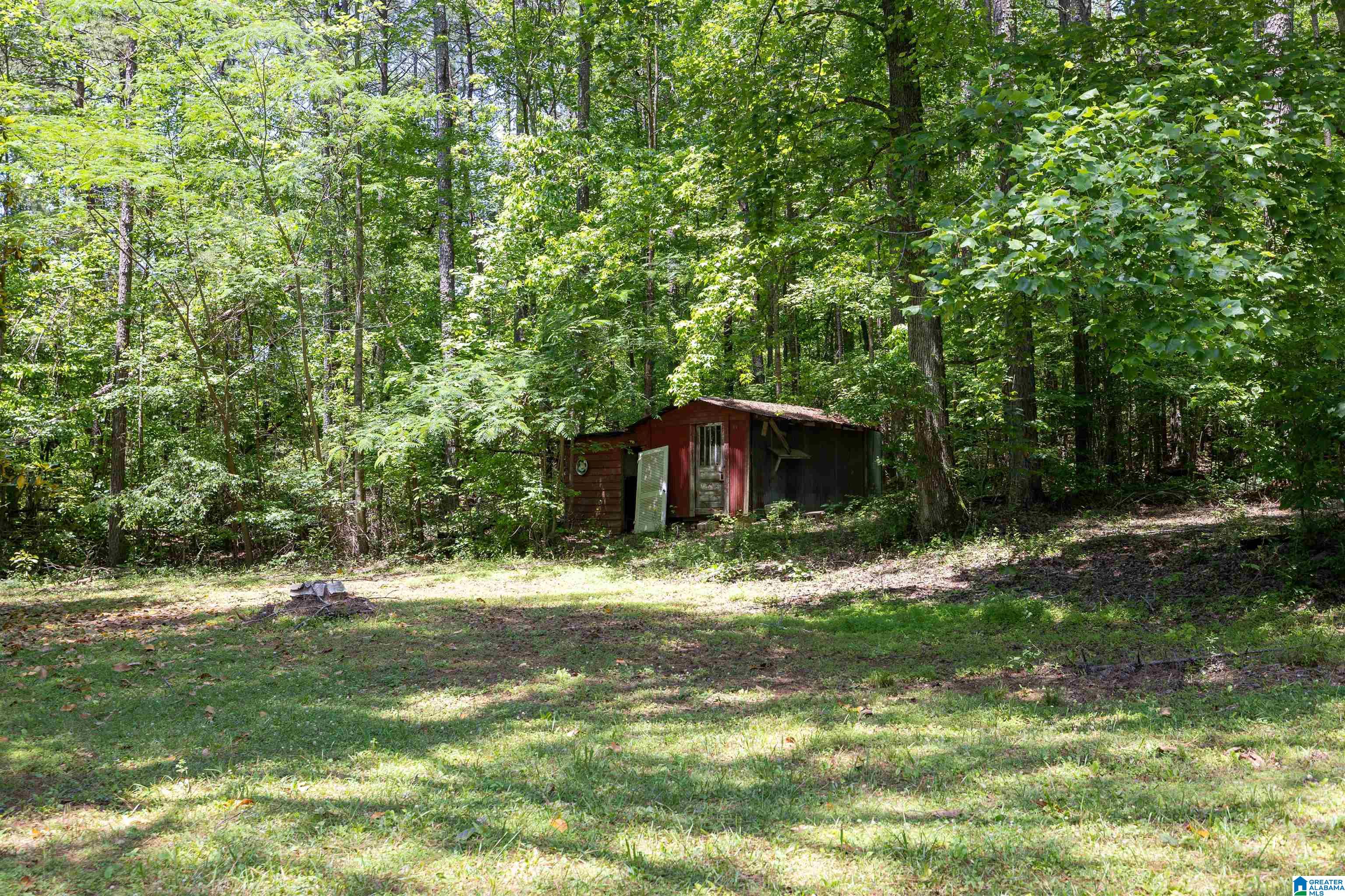 1081 Abel Road Delta, AL 36258 - Photo 26 of 32