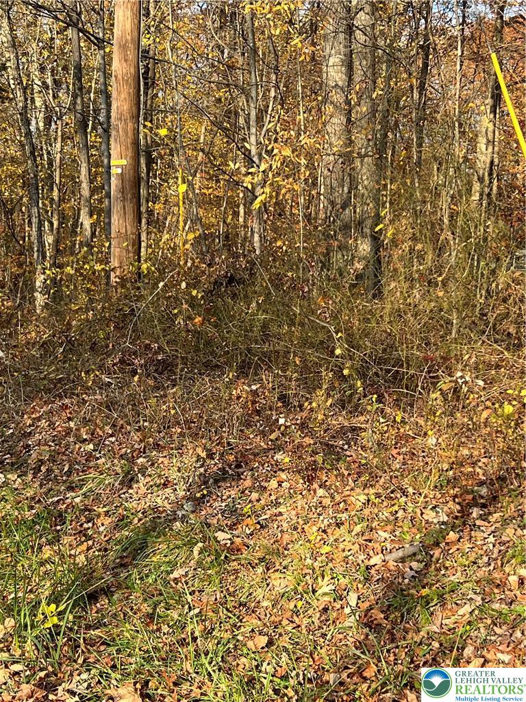Shooktown Road Bangor, PA 18013 - Photo 6 of 11