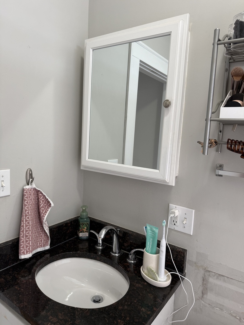 1930 West Addison Street, Unit 3S Chicago, IL 60613 - Photo 11 of 16