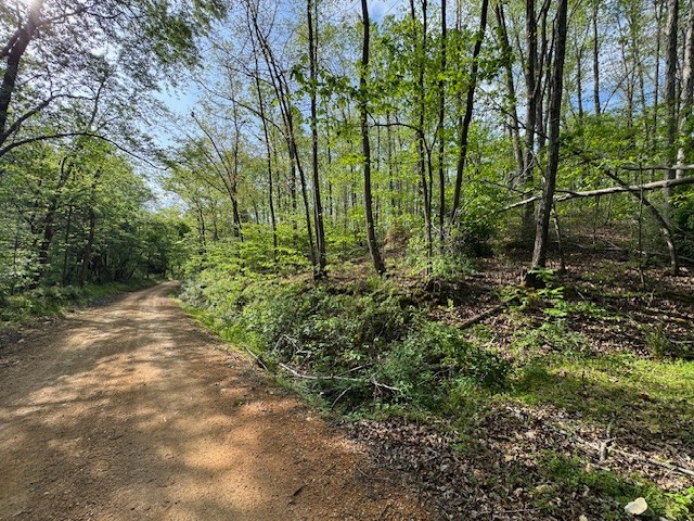 455 Moss Spring Hollow Road Centerville, TN 37033 - Photo 1 of 13 a view of a garden with plants