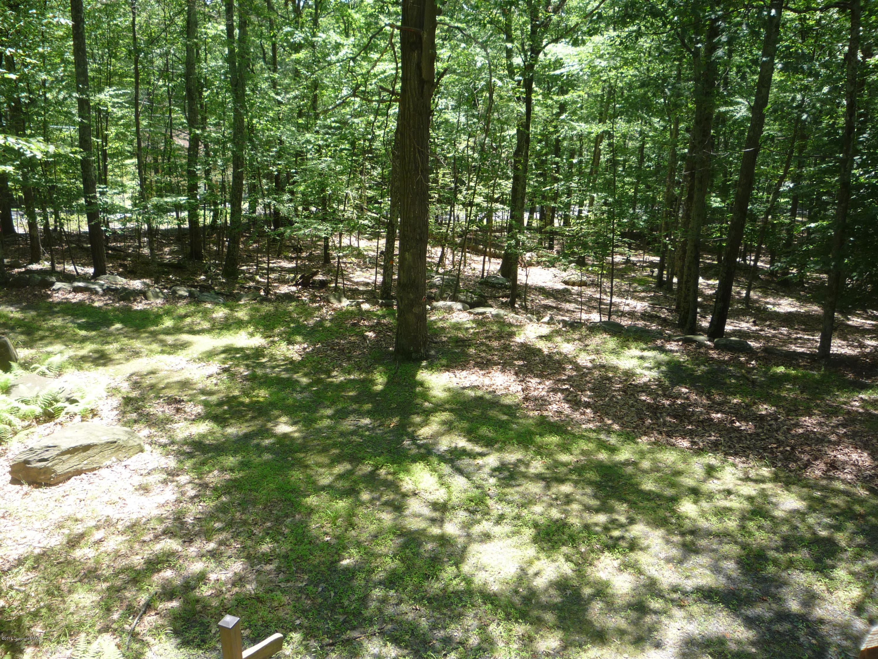 696 Chickadee Lane Bushkill, PA 18324 - Photo 21 of 25 Side yard