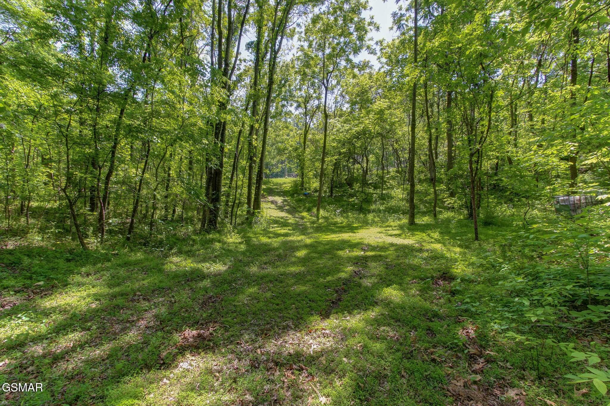 3882 Thomas Cross Road Sevierville, TN 37876 - Photo 78 of 80 Gallery Image 78