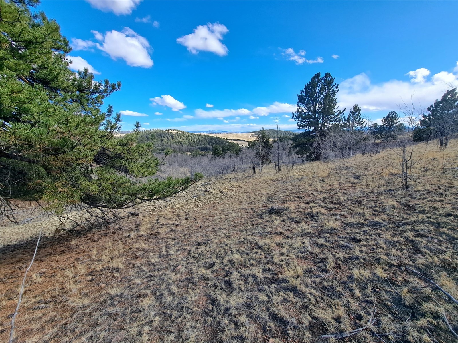 908 Raven Way Como, CO 80432 - Photo 11 of 29