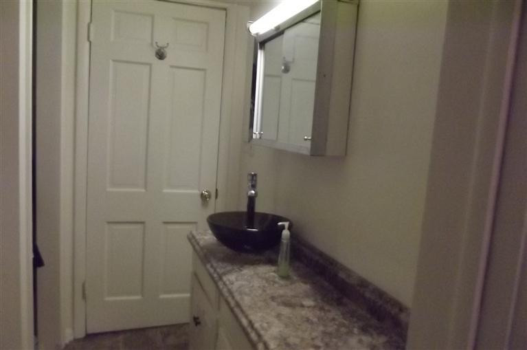 3838 Zeeb Road Dexter, MI 48130 - Photo 8 of 21 First floor half bath