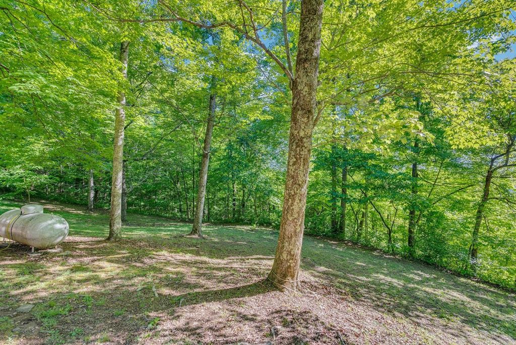 755 Woody Road Byrdstown, TN 38549 - Photo 27 of 37