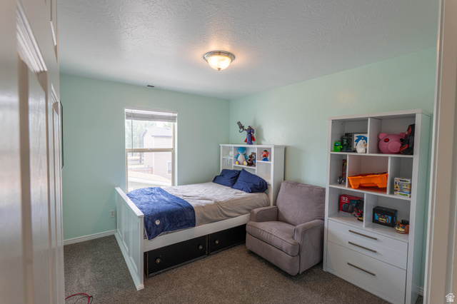 1443 West 250 North Springville, UT 84663 - Photo 17 of 23 Bedroom featuring a single window, overhead flush mount lighting, and textured carpeting