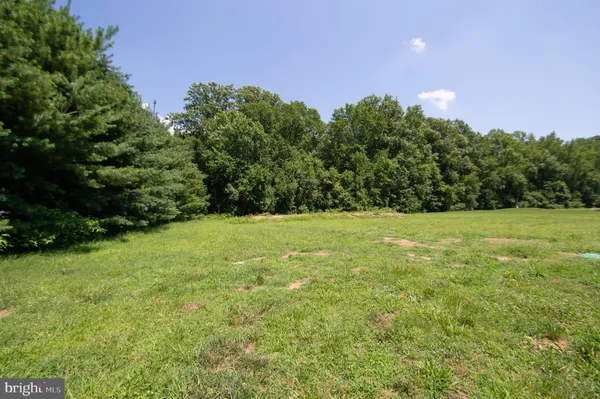 a view of garden with trees