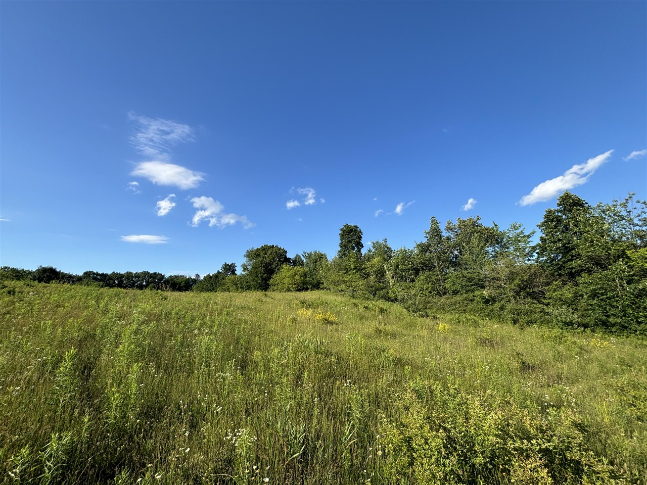 38.14 Northeast A Ne Hayes Road Comstock Park, MI 49321 - Photo 10 of 38