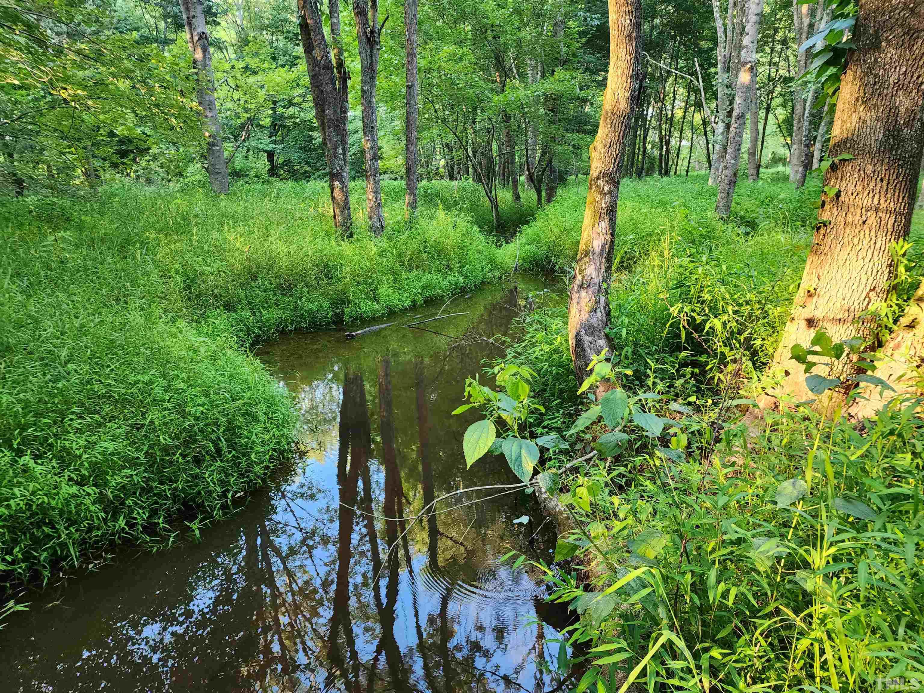 Eatmon Road Zebulon, NC 27597 - Photo 11 of 26 a lush green forest with lots of trees