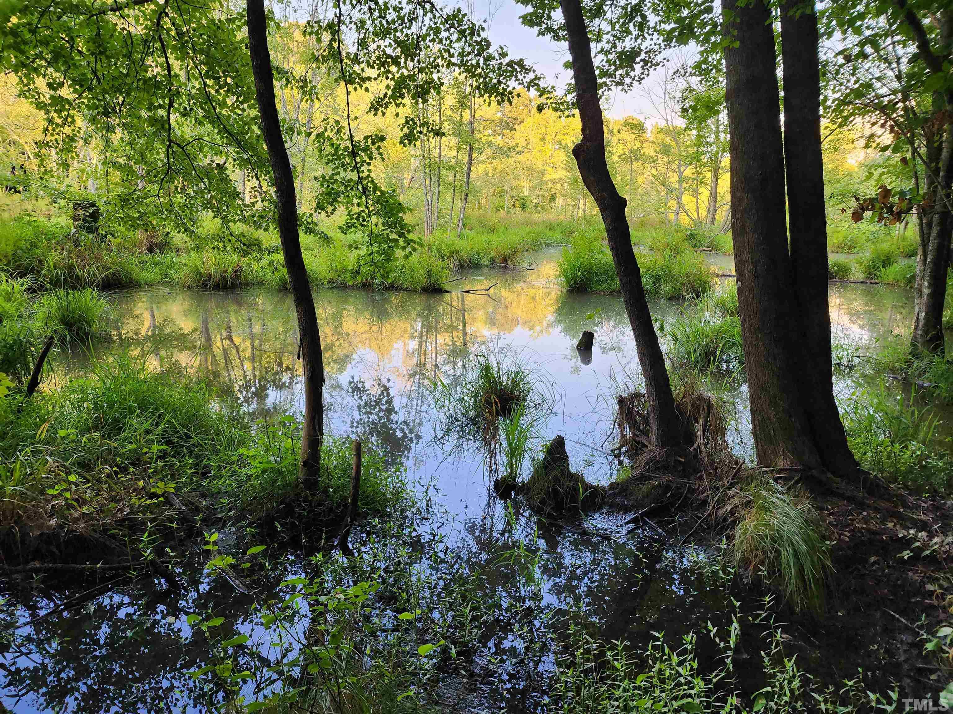 Eatmon Road Zebulon, NC 27597 - Photo 12 of 26 a view of a garden with a lake