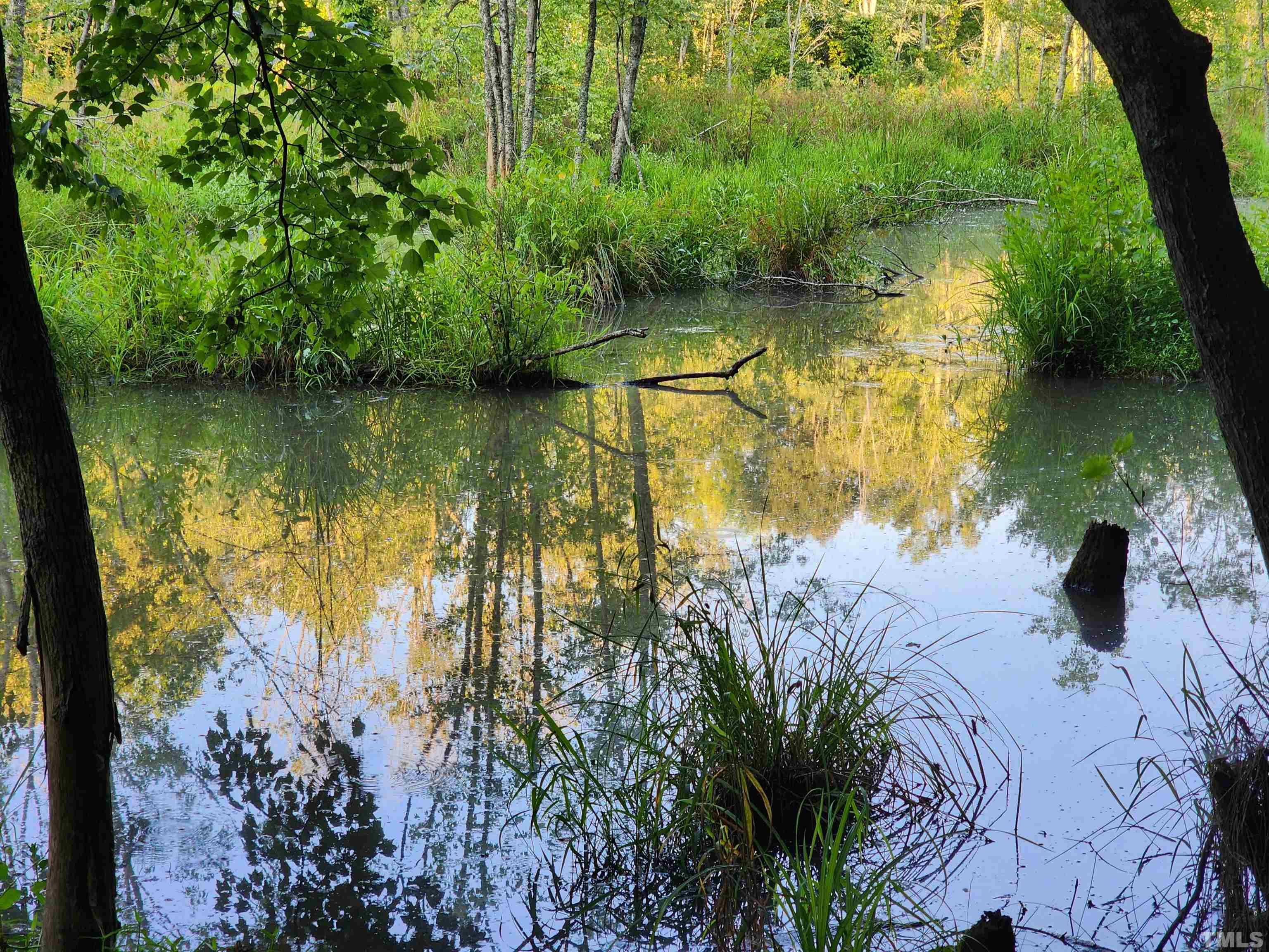 Eatmon Road Zebulon, NC 27597 - Photo 13 of 26 a view of lake