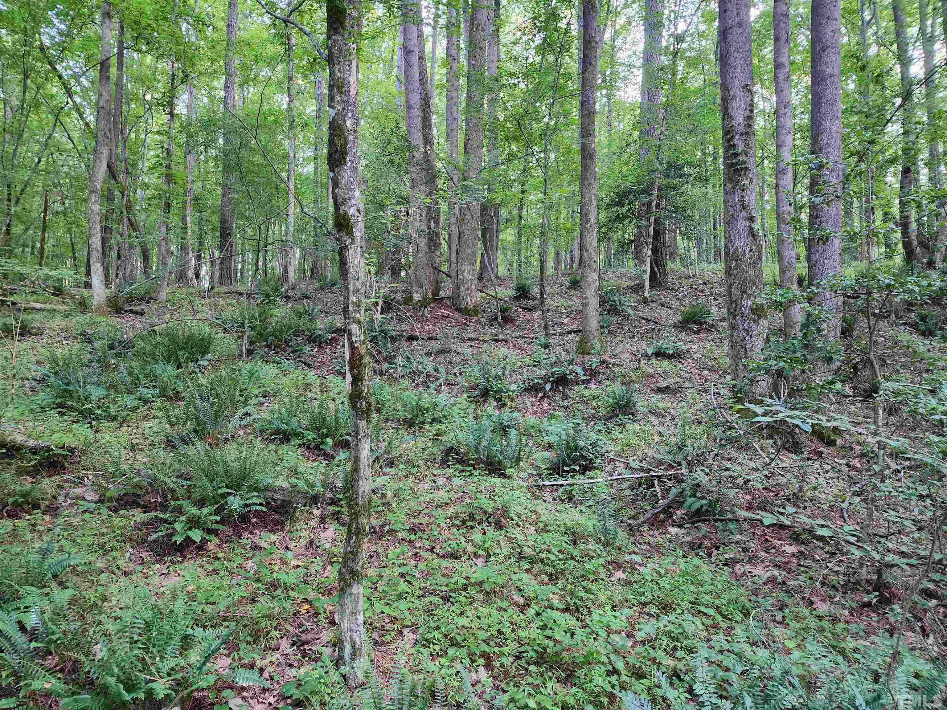 Eatmon Road Zebulon, NC 27597 - Photo 16 of 26 a view of outdoor space and green space