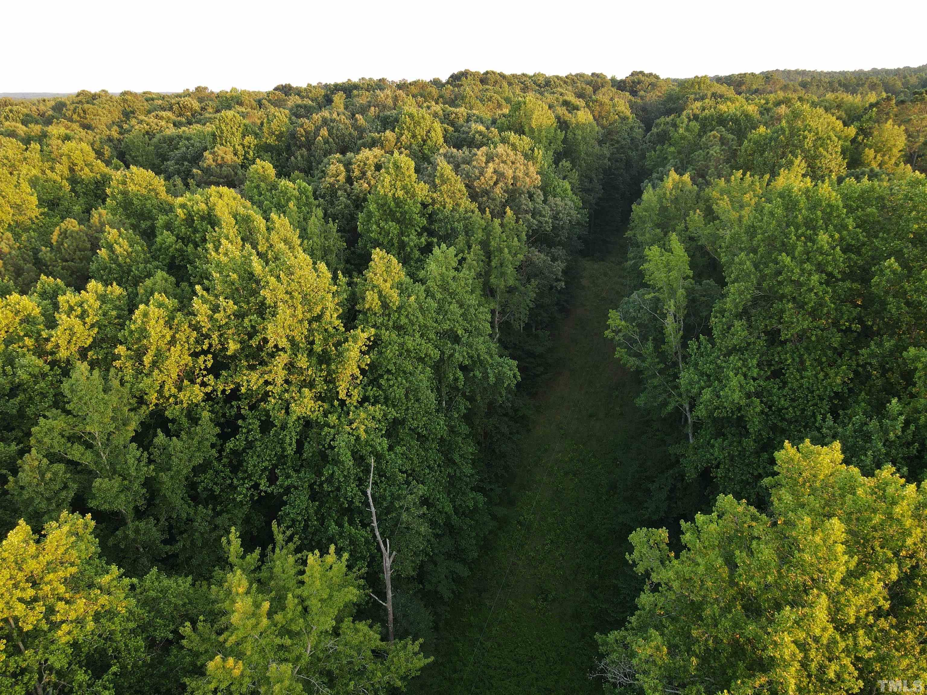 Eatmon Road Zebulon, NC 27597 - Photo 19 of 26 an aerial view of a house with a yard