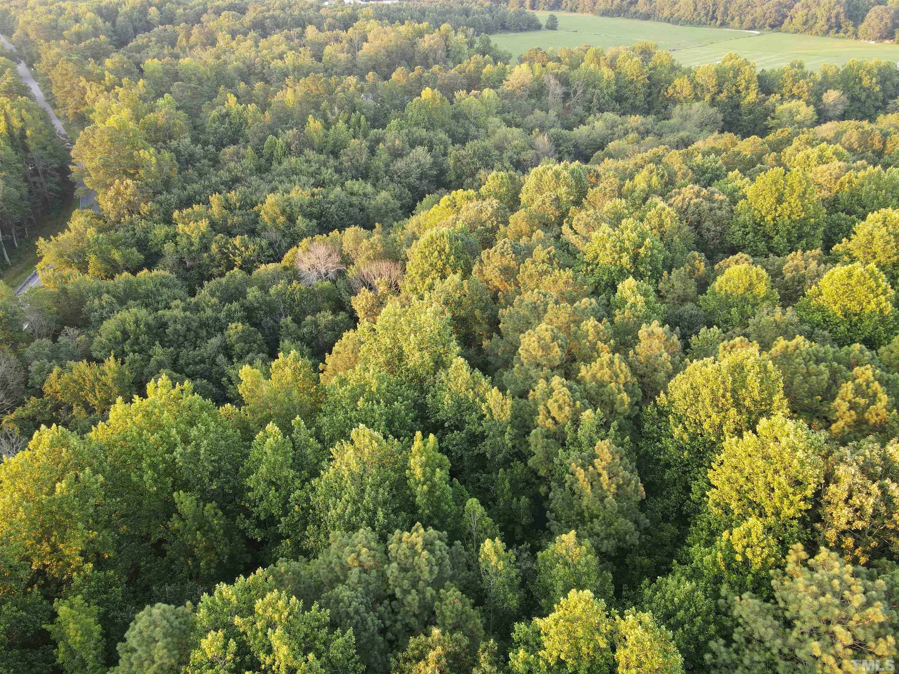 Eatmon Road Zebulon, NC 27597 - Photo 2 of 26 a view of a houses and green forest