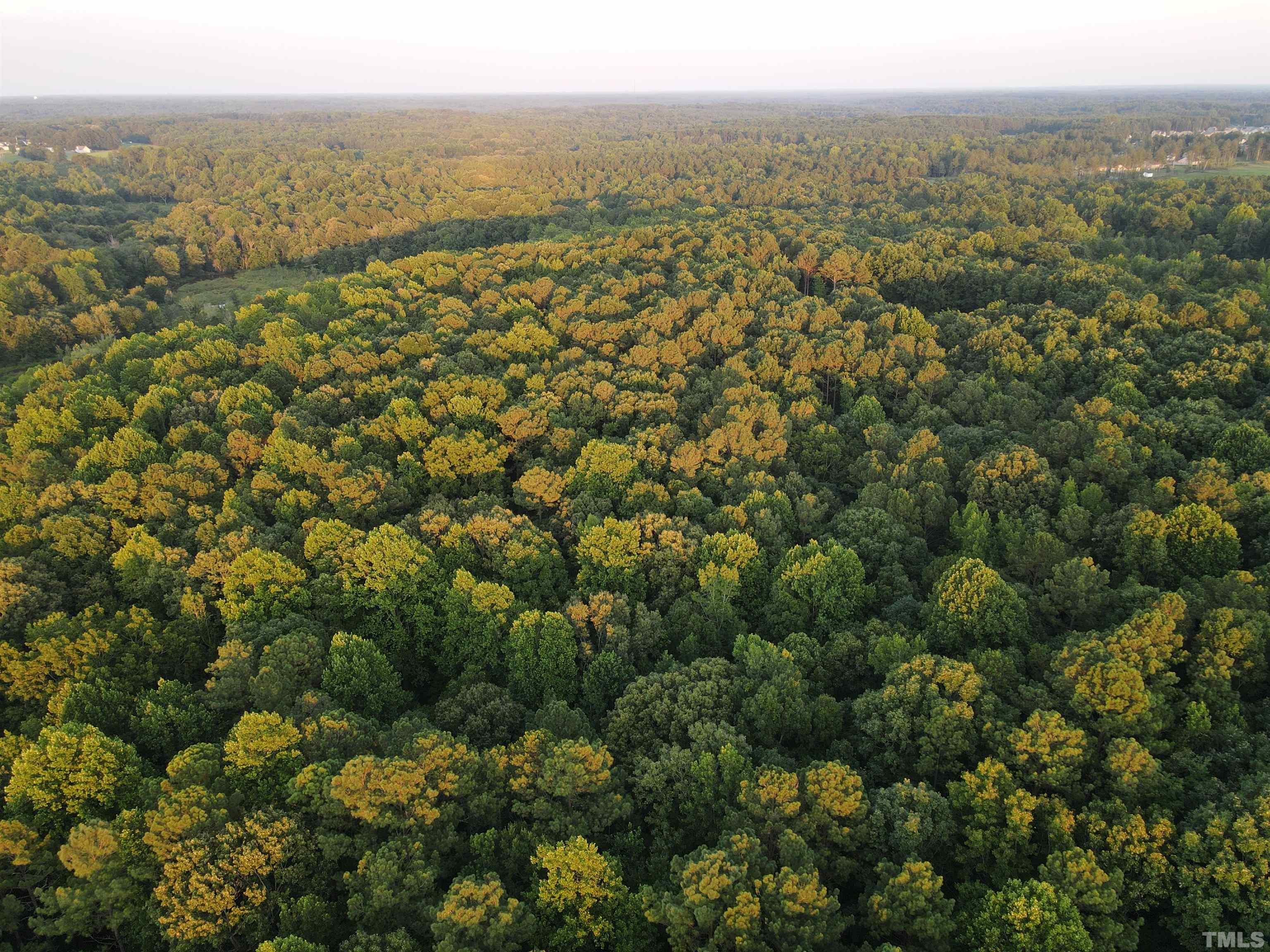Eatmon Road Zebulon, NC 27597 - Photo 3 of 26 a view of a city with lush green forest