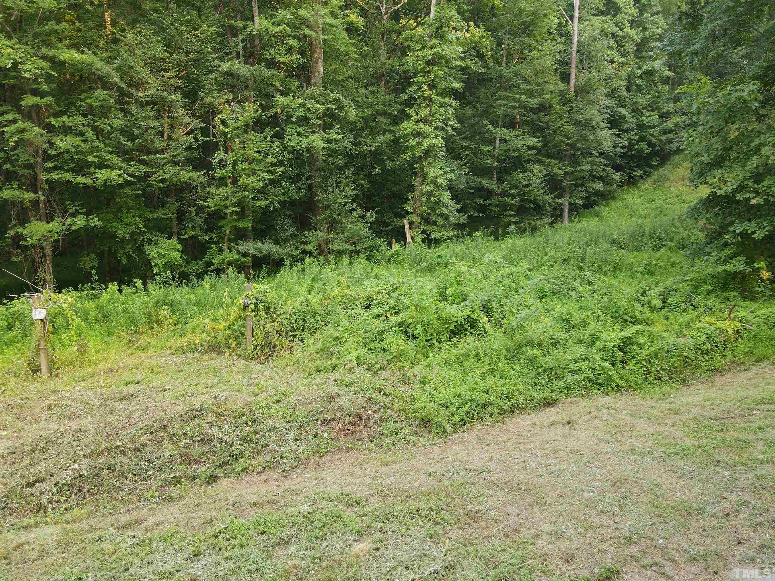 Eatmon Road Zebulon, NC 27597 - Photo 5 of 26 a view of a lush green forest