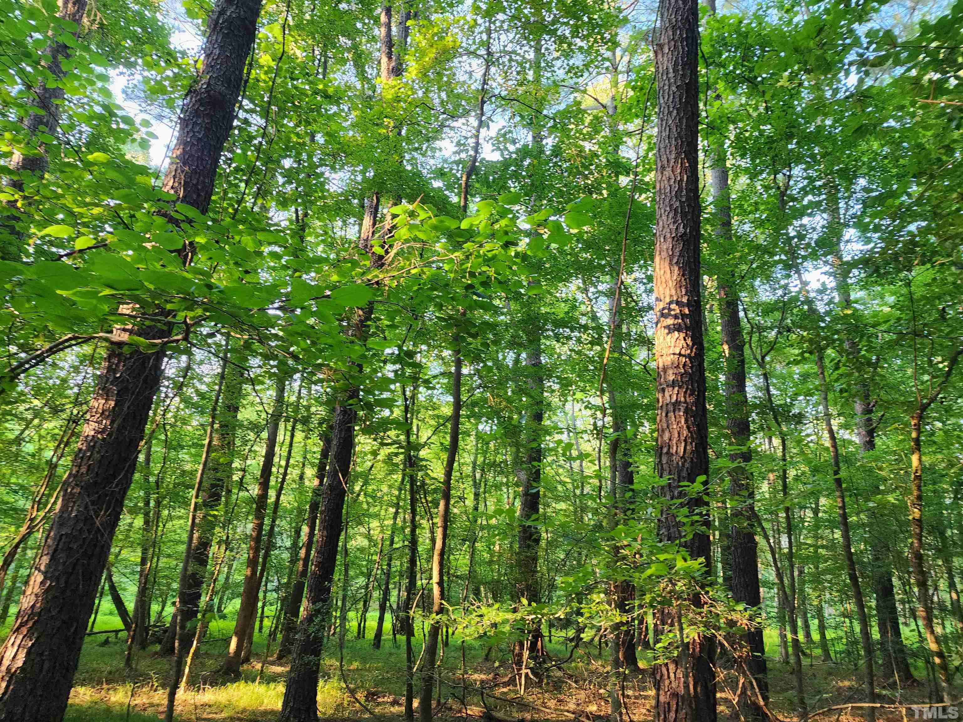 Eatmon Road Zebulon, NC 27597 - Photo 7 of 26