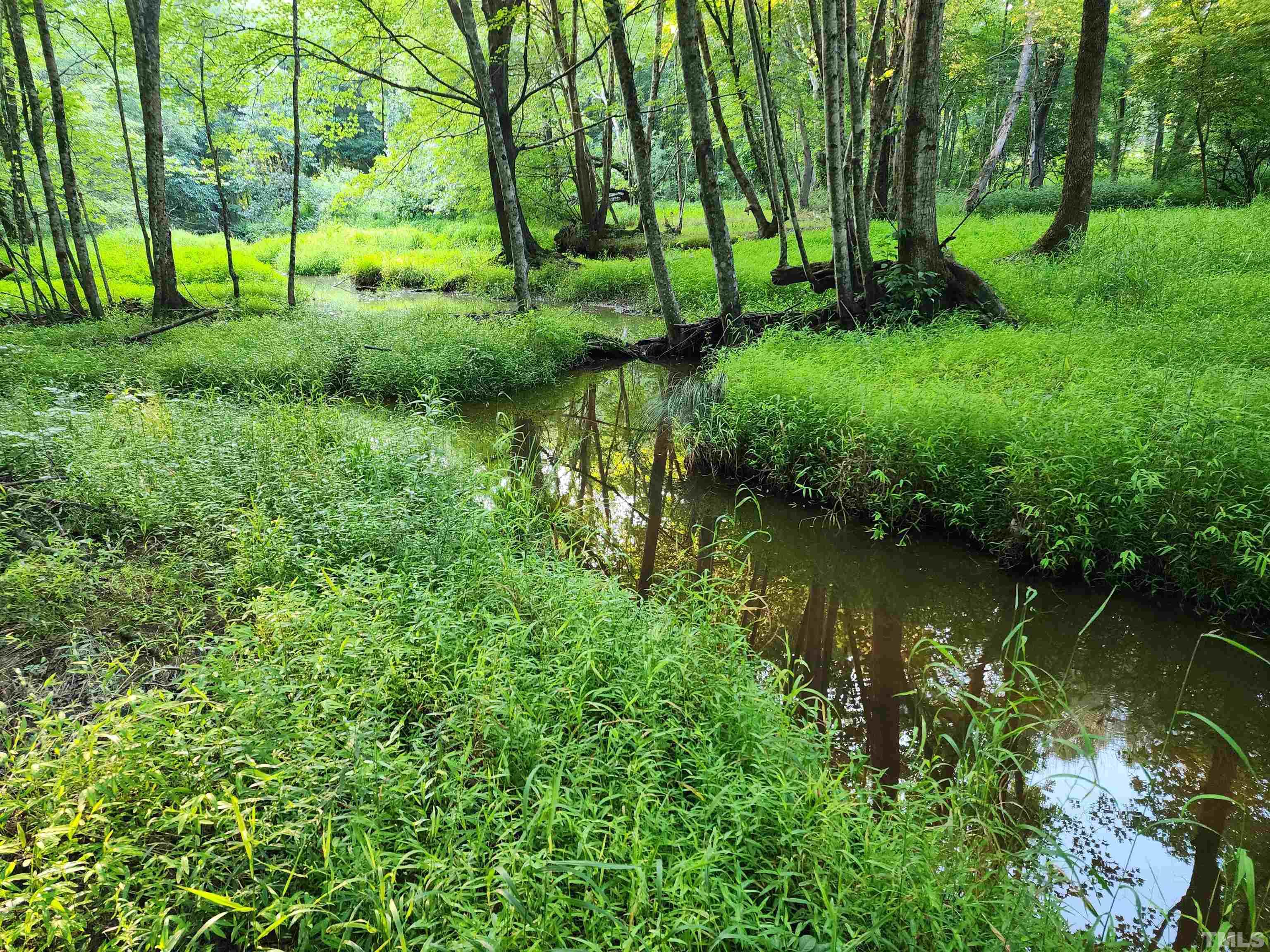 Eatmon Road Zebulon, NC 27597 - Photo 9 of 26 a view of a garden with a lake
