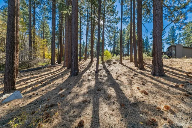 a view of a backyard of a house