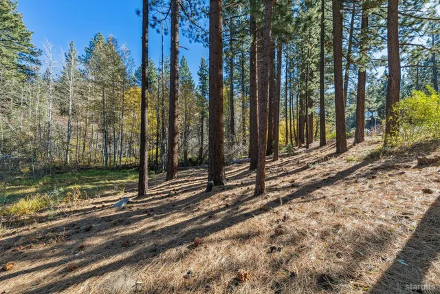 a view of a backyard of the house
