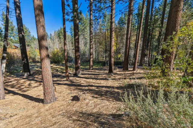 a view of a tennis court