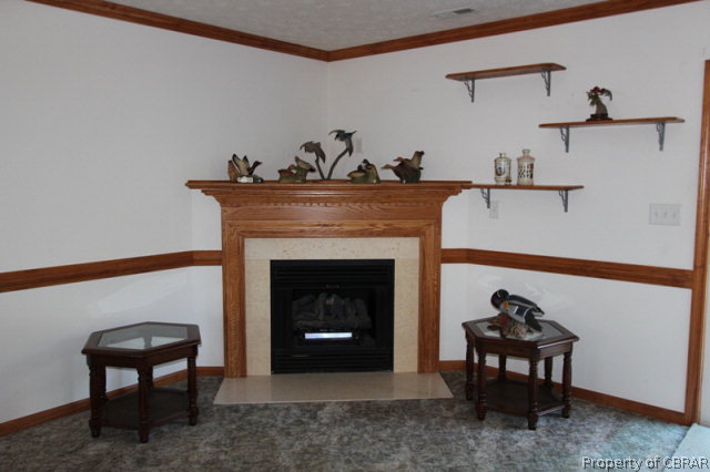 5329 Chestnut Fork Road Gloucester, VA 23061 - Photo 3 of 15
