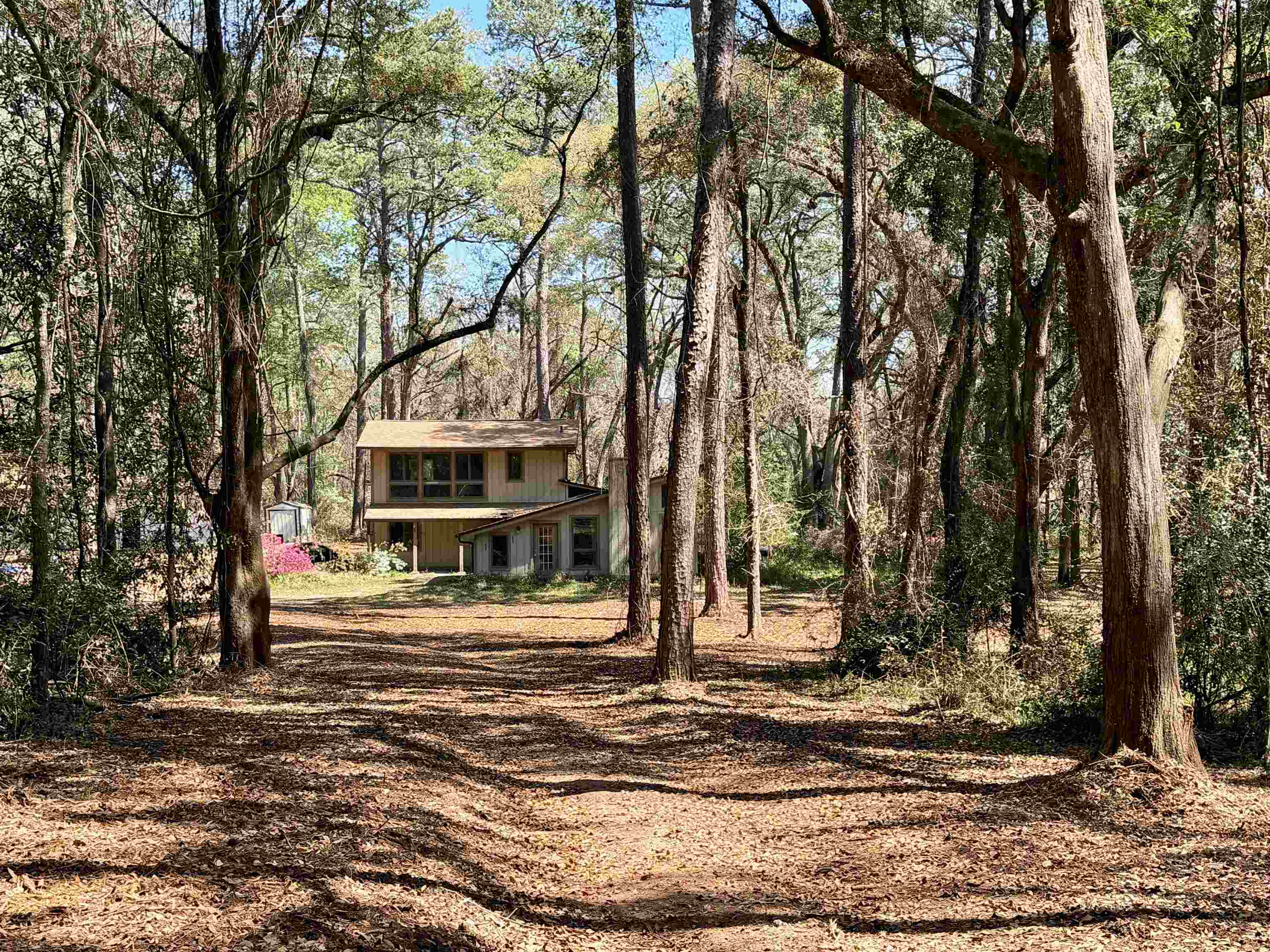 241 Old Dirt Road Tallahassee, FL 32317 - Photo 1 of 41